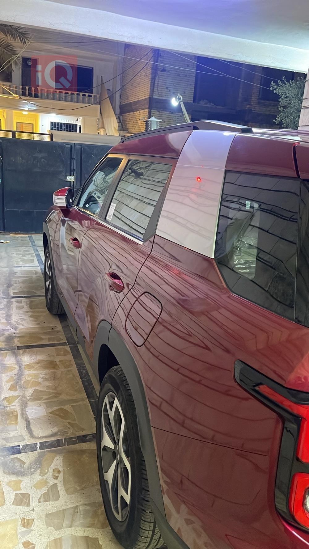 سانغ يونغ توريس